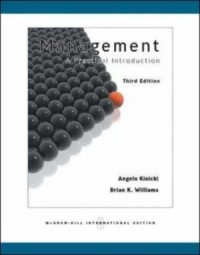 Image of Management A Practical Introduction